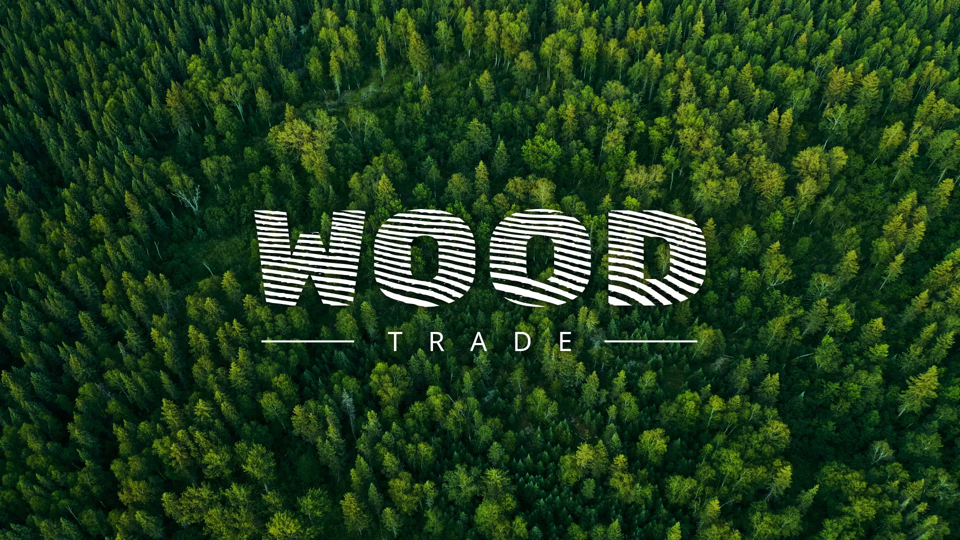 Разработка интернет-магазина компании «Wood Trade» в Химках