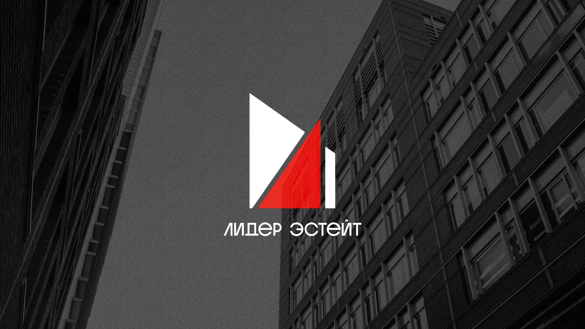 Сделали логотип для агентства недвижимости «Лидер Эстейт» в Химках